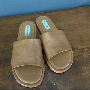 Steve Madden Siena Sandal in brown